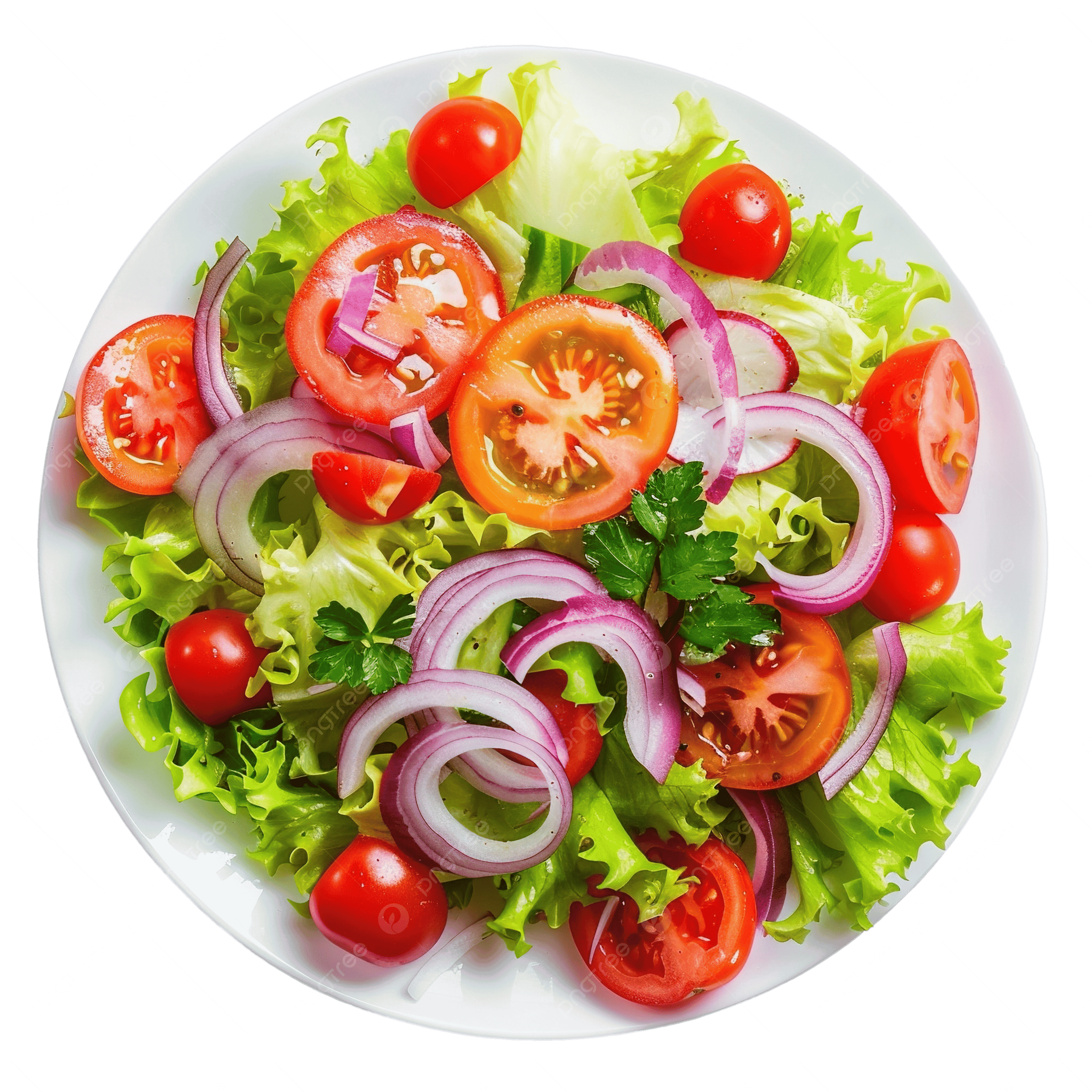 Authentische italienische INSALATA / SALATE im La Vita Ristorante Rheinfelden